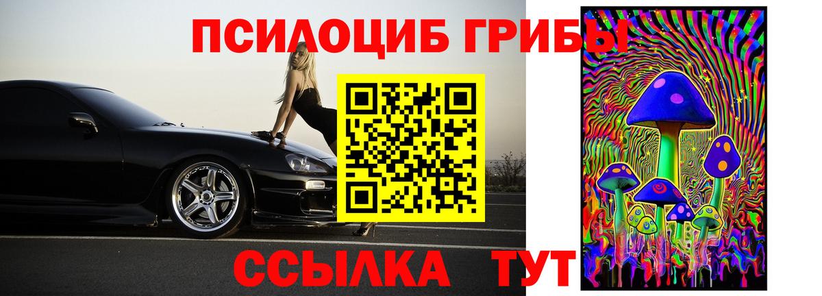 Псилоцибиновые грибы Magic Shrooms  Вход с VPN  Старая Купавна  Псилоцибиновые грибы ЛСД 